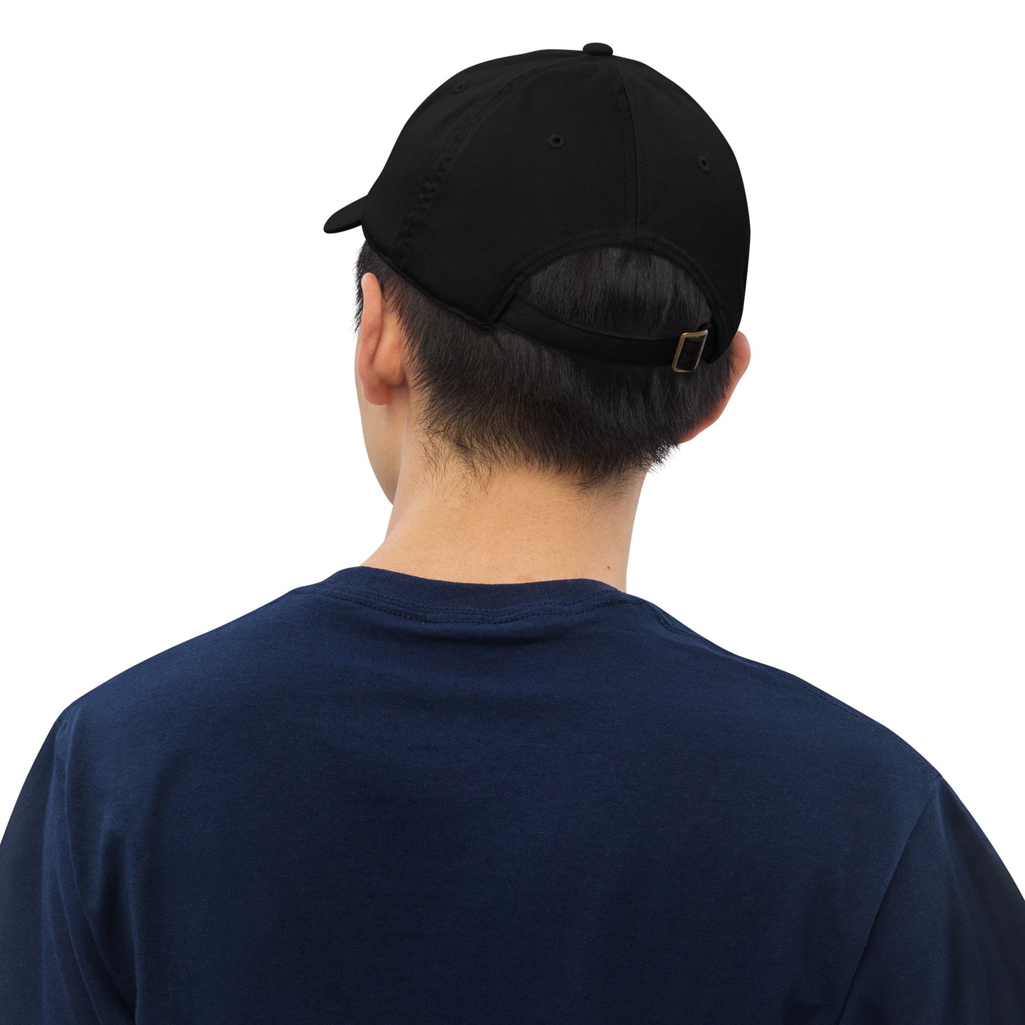 Canyonlands National Park Embroidered Organic Ball Cap/ Dad Hat