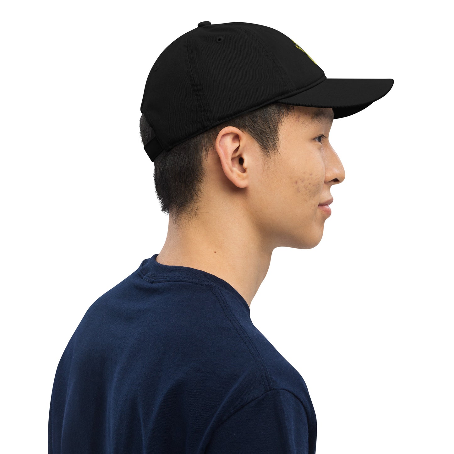 Canyonlands National Park Embroidered Organic Ball Cap/ Dad Hat